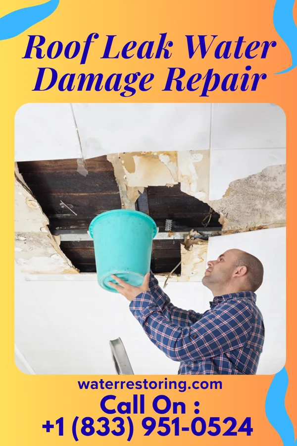 Roof Leak Water Damage Repair in Chelsea, IA